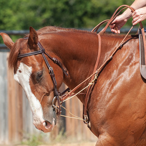 Accessories: Martin Saddlery Phil Haugen German Martingale Roping Rein- Pre order