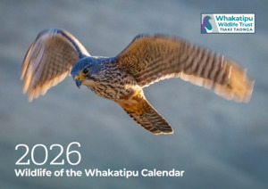 Products: Wildlife of the Whakatipu Calendar 2026 - Whakatipu Wildlife Trust