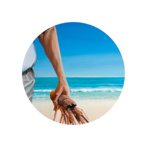 Coasters Placemats: Placemat Graham Young Crayfish