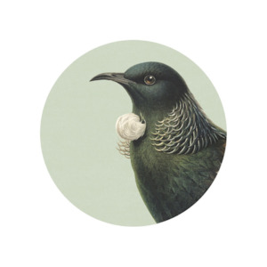 Coasters Placemats: Placemat Hushed Tui Green