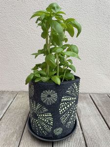 Kina Green On Grey - Ecofelt Growbag