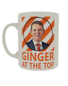 Covid 19: Ginger at the top (Chris design)