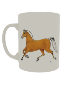 Nz Norwegian Horse Society: Fjord striding out