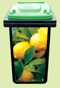 Lemon Zest
