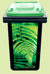 Fern