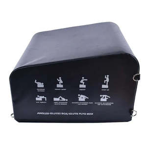 boxes: LivePro Angled Plyometric Box