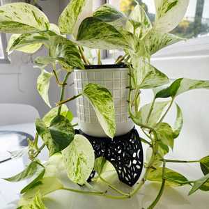 Accessories: Plant Pot Stands
