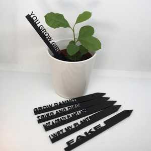 Witty Plant Stakes