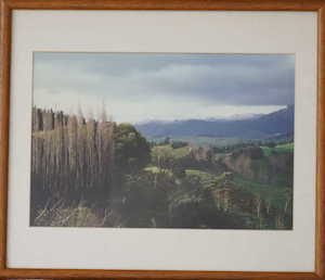 artwork: Over the rangetiki ranges