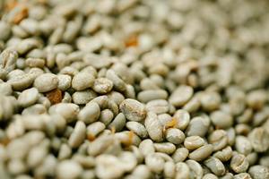 Brazil Cerrado Green Coffee Beans – Unroasted, Natural Process 500G
