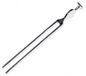 Tuning Fork: TUNING FORK GARDINER BROWN C128 - RAGG 23CM