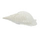 Natural Seashell Décor White Sands Interiors
