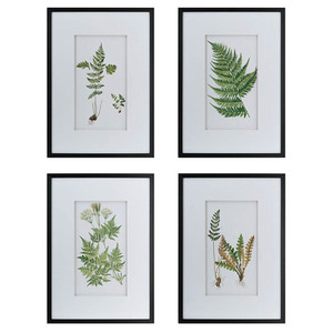 Botanical Ferns Framed Art Set of 4 White Sands Interiors
