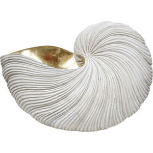 Nautilus Shell Aged White & Gold Extra Large White Sands Interiors