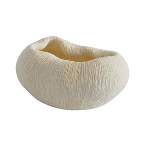 Coral Scalloped Bowl (white) White Sands Interiors