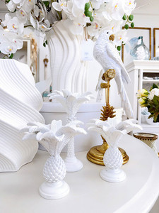 Bahamas King Parrot Gold/White White Sands Interiors