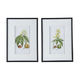 Botanical Framed Art Set of 2 White Sands Interiors