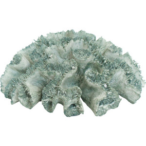 Products: Sea Coral Colt Blue White Sands Interiors