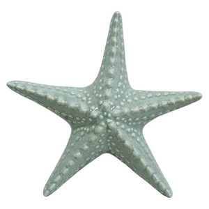 Starfish Coastal White Sands Interiors