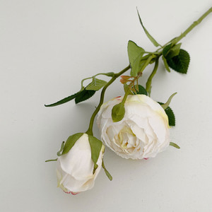 Aged White Bordeaux Peony Faux Flowers White Sands Interiors