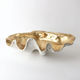 Clam Shell Extra Large Aged White & Gold White Sands Interiors