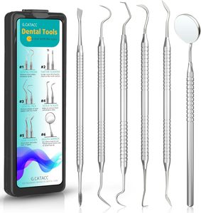 Oral Care: Dental Care Tools, Stainless with Case