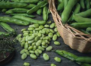 Fruit Veg: Streamside Organics' Organic Broad Beans