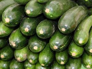 Masterton Organic Zucchini