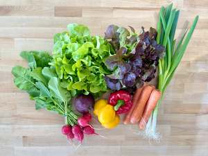 Vege Boxes: BOX 3 - Organic Salad
