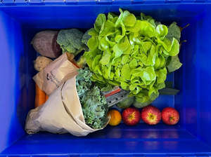 Vege Boxes: Swap-a-Crate Bond