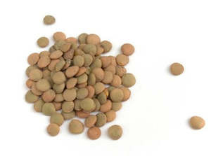 Organic Brown Lentils