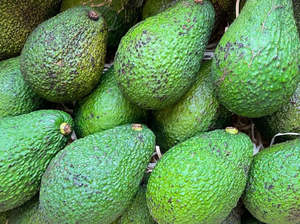 Fruit Only: Katikati Organic "Ugly Avos" - Hass MED/LGE