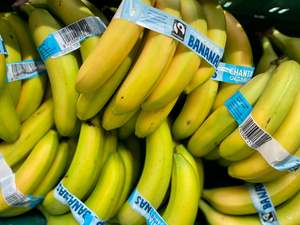 All Good Bananas - Fumigated