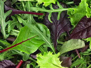Streamside Organic Mesclun Salad Mix
