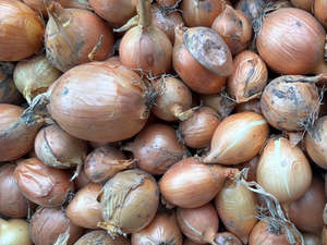 Vegetables Only: NZ Organic Onions - Brown NEW SEASON