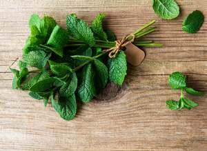 Fresh Herbs Only: Peter's Organic Mint - Bunch