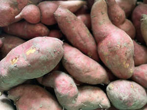 Dargaville NZ Organic Kumara - Beauregard Orange