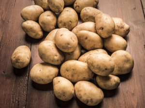 Untamed Earth Organic Potatoes - Jersey Bennes CHRISTMAS POTATOES