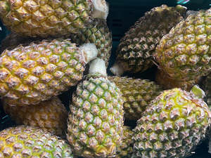 Fiji Spray-Free Pineapple