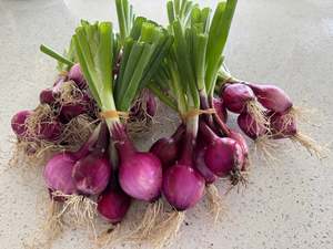 Live2Give Farm Organic Red Onion Bunches - Each