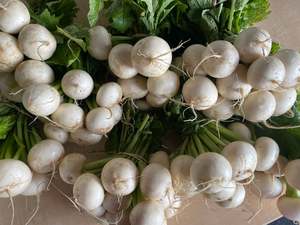 Crooked Vege Organic Salad Toyko Turnips - Bunch