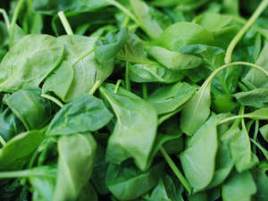 Fruit Veg: Streamside Organic Baby Spinach