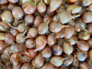 Fruit Veg: Palmy Organic Brown Onions - SMALL