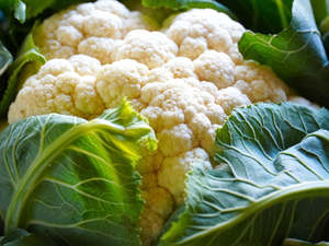 Untamed Earth Organic Cauliflower