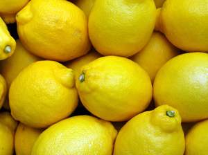 Fruit Only: Miranda Spray Free Lemons - Genoa (sour lemon)