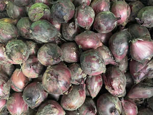 Wellington Organic Onions - Red New Season
