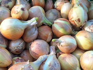 Live2Give Farm Organic Brown Onions