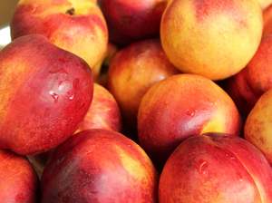 Fruit Veg: Otago Organic Nectarines - Yellow