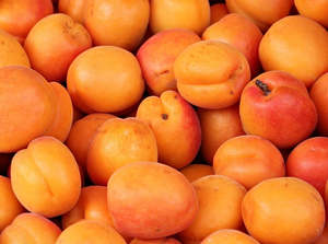 NZ Organic Apricots