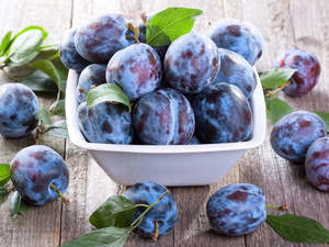 Fruit Veg: Te Mata Organic Plums - Angelino